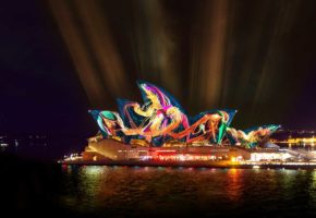 Austral Floral Ballet - Vivid Sydney